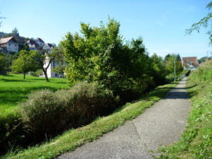 Linienwegli Aussicht