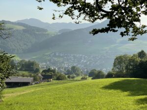 Müllersweid Aussicht