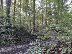 Winterhalde Aussicht