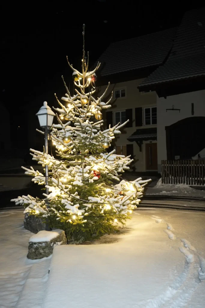 Weihnachtsbaum Dorfplatz