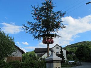 Maibaum